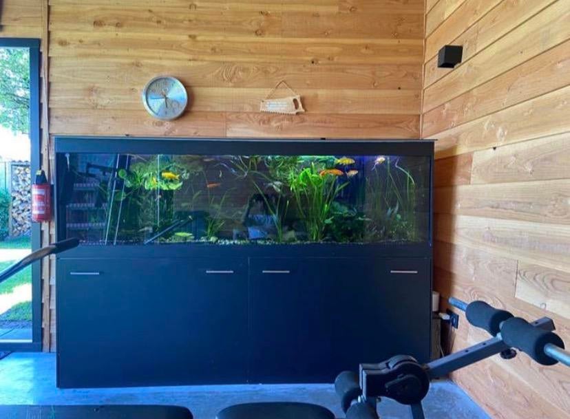 600 liter aquarium te koop, compleet set., Ophalen, Gebruikt, Zelfbouw systeem., Info@vanspui.nl