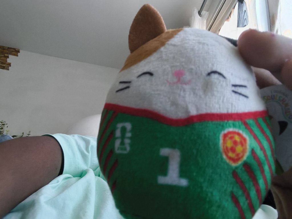 Knuffel, Ophalen, Groen, Overige karakters, Kat