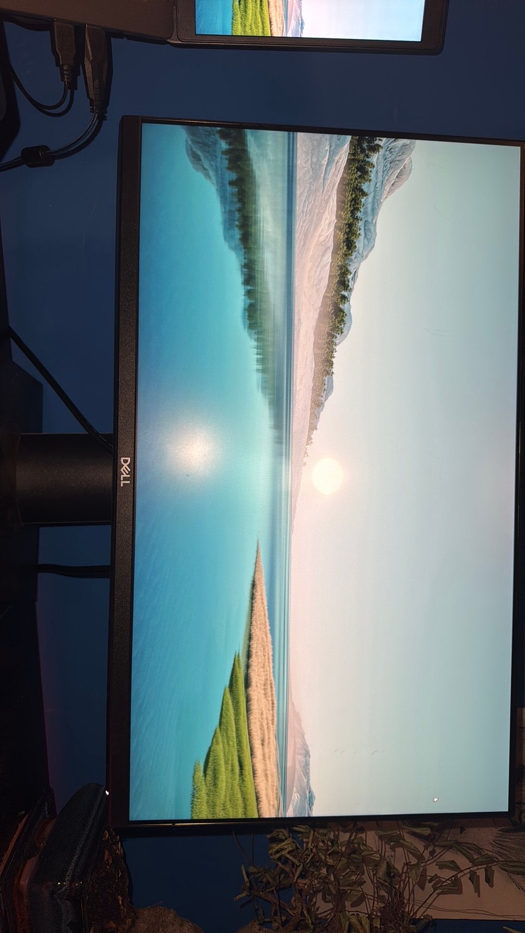 Dell P2419H, Ophalen, Zo goed als nieuw, 60 Hz of minder, IPS