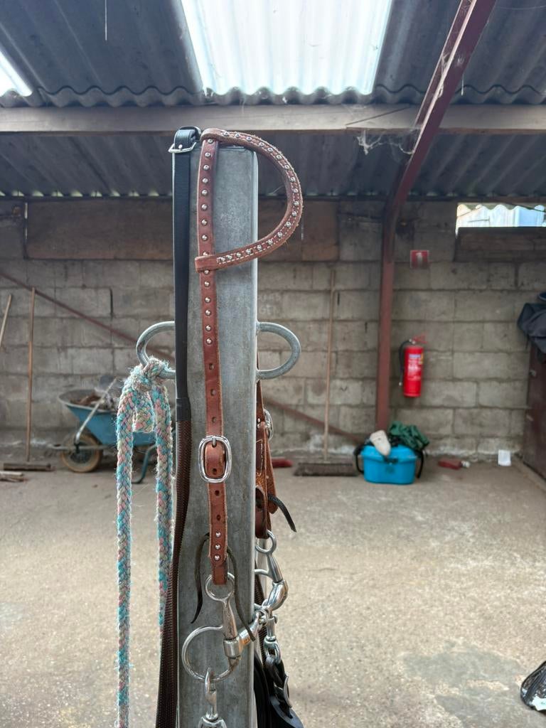 Western one ear hoofstel, Ophalen, Zo goed als nieuw