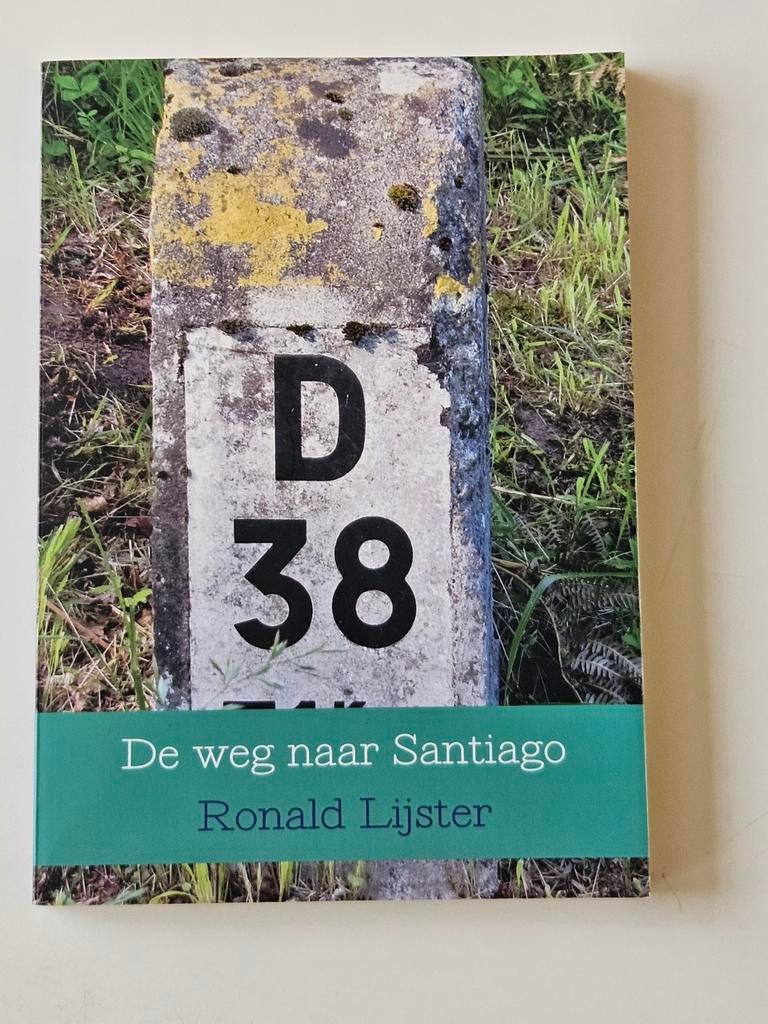 De Weg naar Santiago - Ronald Lĳster, Boeken, Reisverhalen, Ophalen of Verzenden, Zo goed als nieuw, Ronald Lĳster, Europa