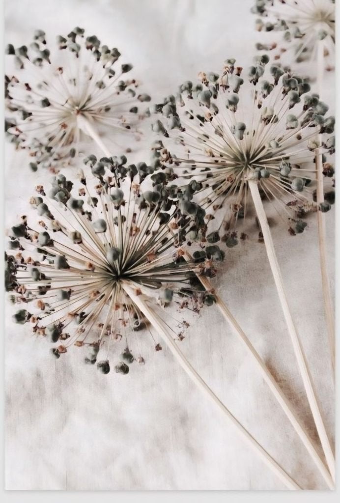 Allium Flowers wisseldoek voor ArtFrame 135x150 cm, Geluiddempend, Meerkleurig, Textiel, Ophalen of Verzenden