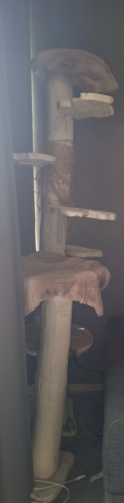 Grote houten krabpaal., Ophalen, Gebruikt, Krabpaal