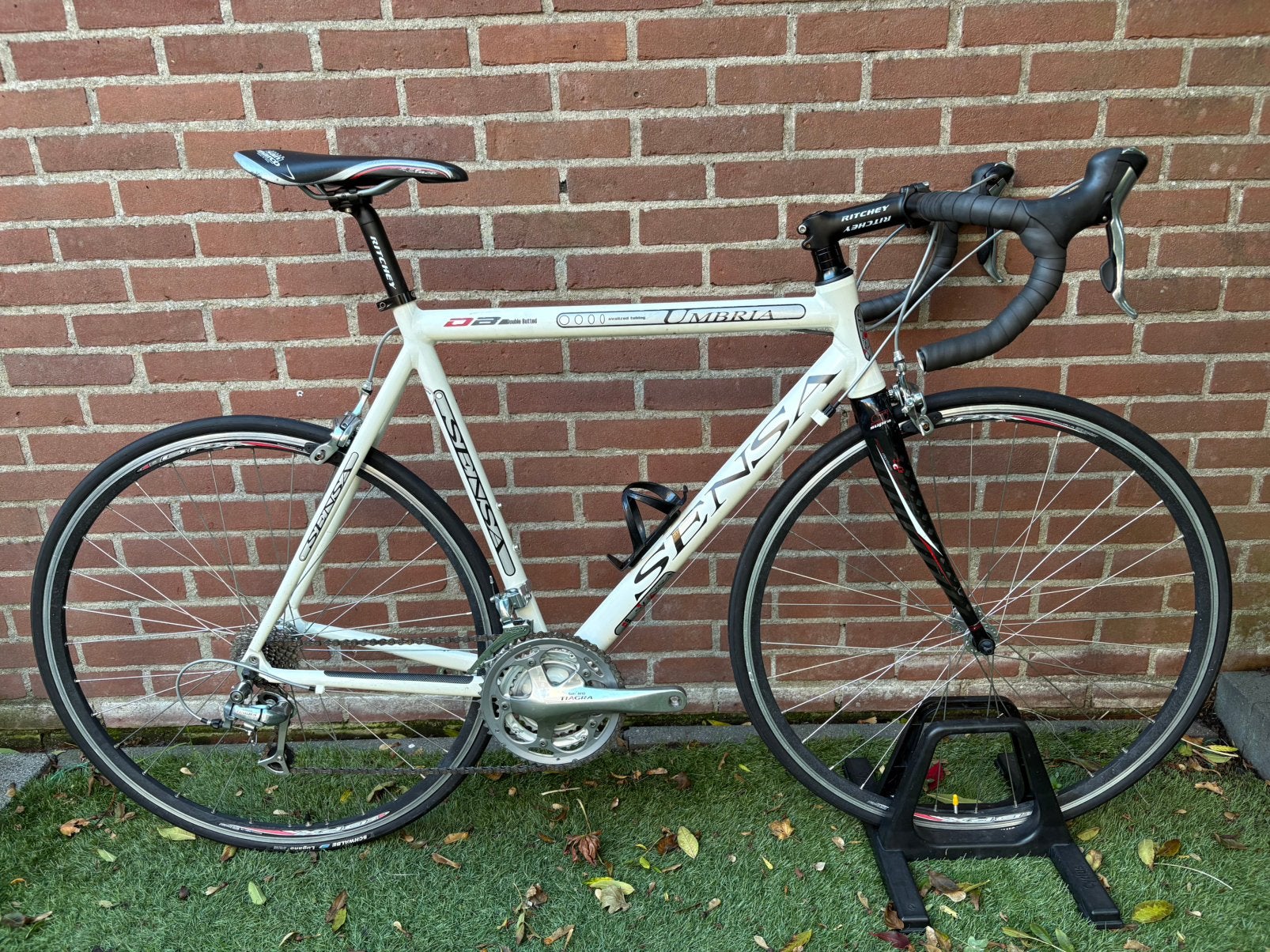 Sensa Umbria (58) MOET WEG !!, 28 inch, Ries-Cycles, Velgrem, Aluminium