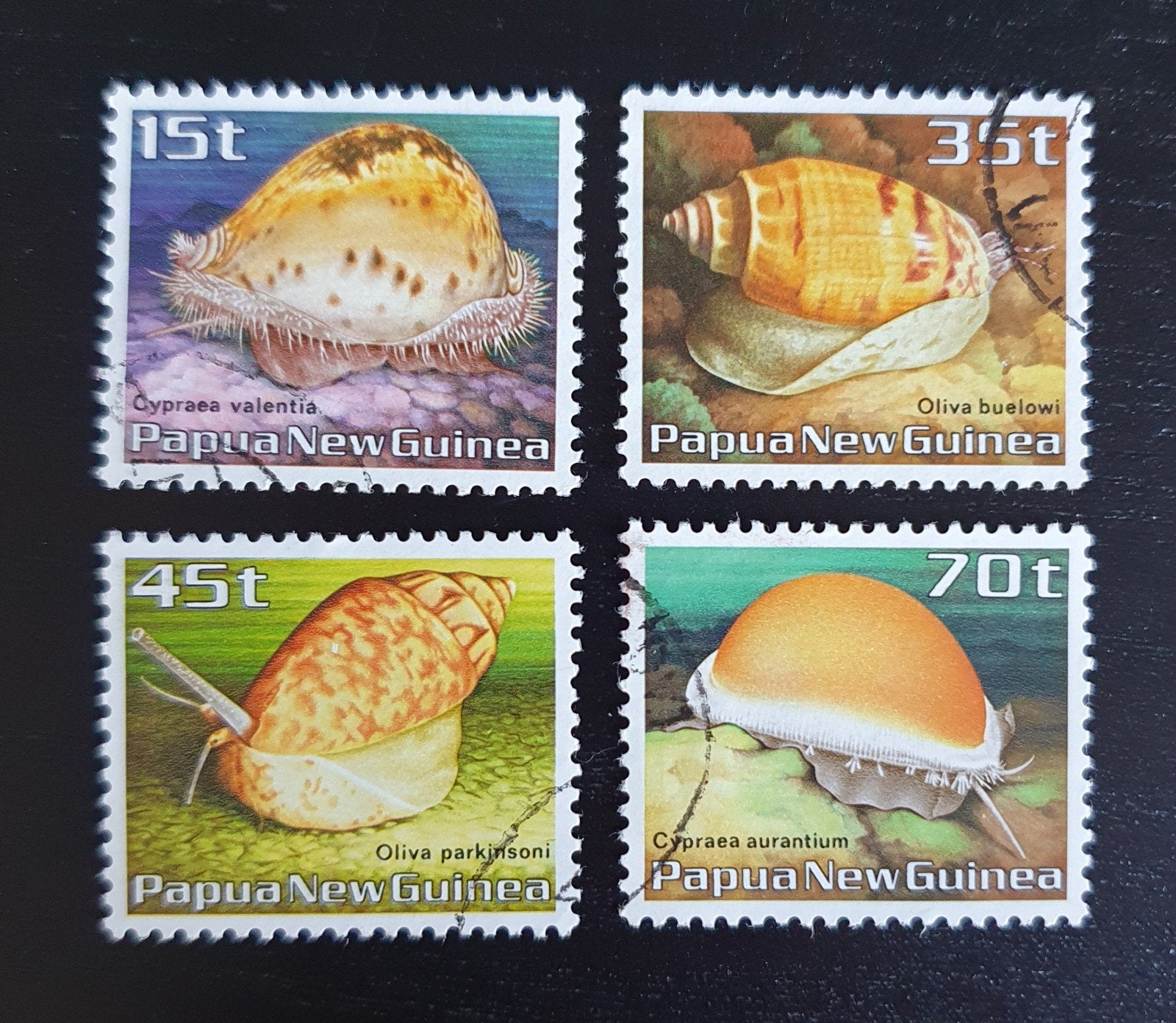 Papoea Nieuw-Guinea 1986 Zeeslakken Michel 516-519 gest, Verzenden, Gestempeld, Dier of Natuur