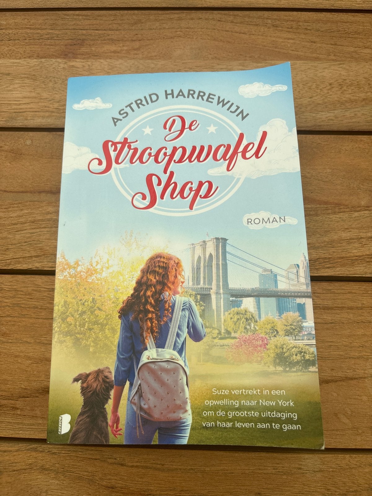 De Stroopwafel Shop - Astrid Harrewijn (Roman), Boeken, Ophalen, Gelezen, Nederland