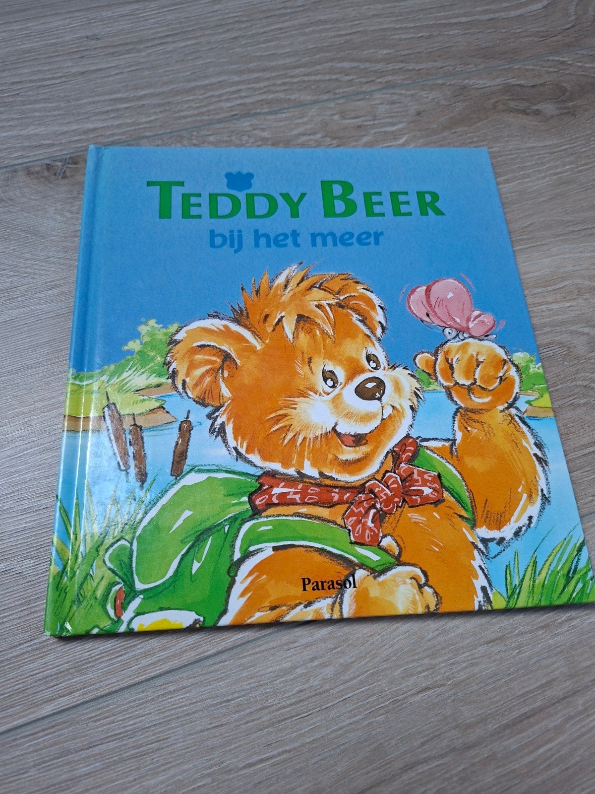 Boek Teddy Beer bij het meer - Herve Chiquet / Joanna Zurek, Gelezen, Fictie algemeen, Ophalen of Verzenden, Herve chiquet
