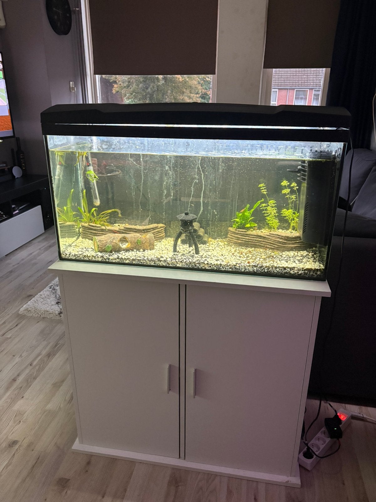 Aquarium, Ophalen, Zo goed als nieuw, Leeg aquarium