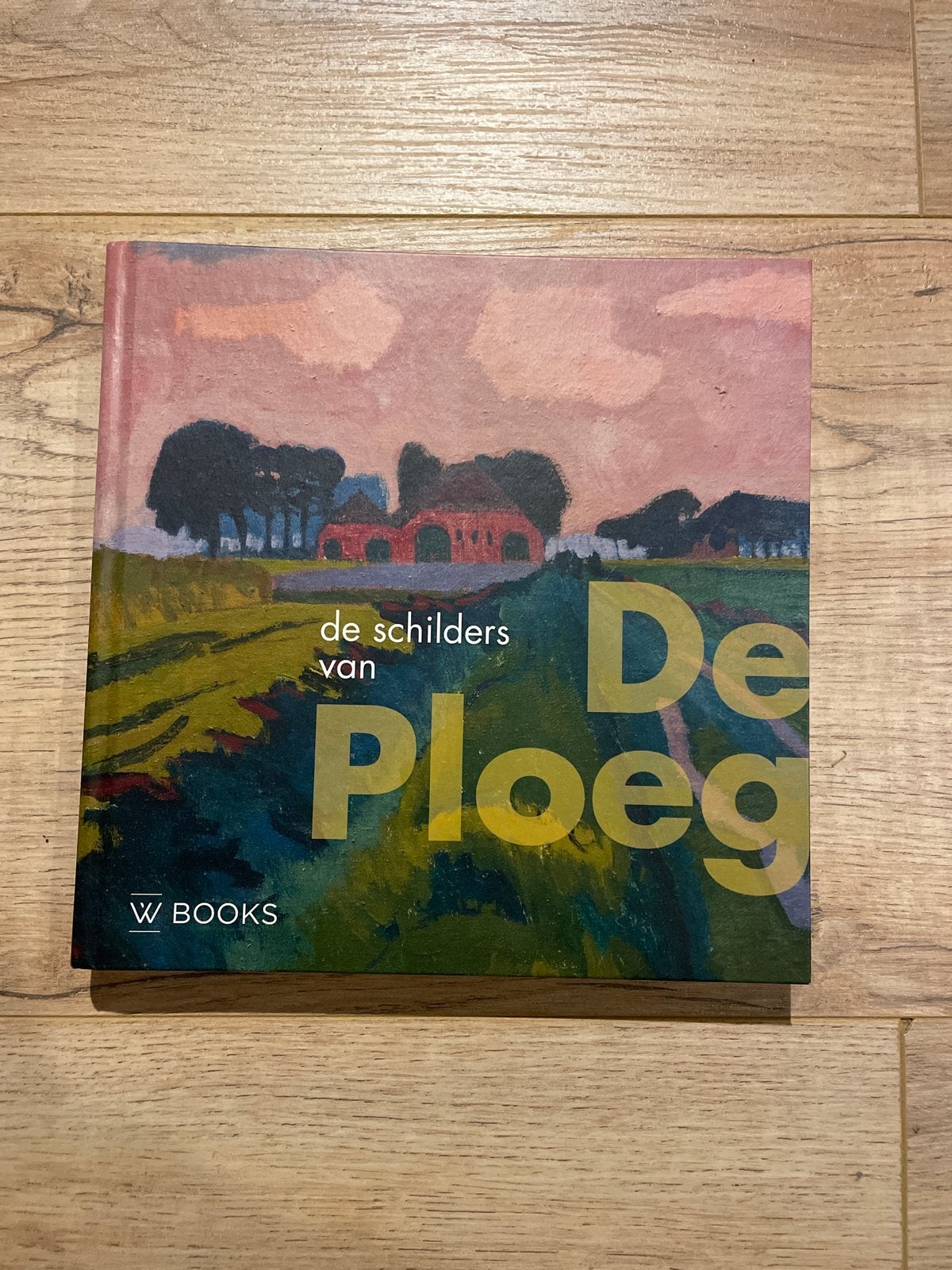 De Schilders van De Ploeg - Kunstboek Groningen, Boeken, Ophalen of Verzenden, Zo goed als nieuw, Schilder- en Tekenkunst