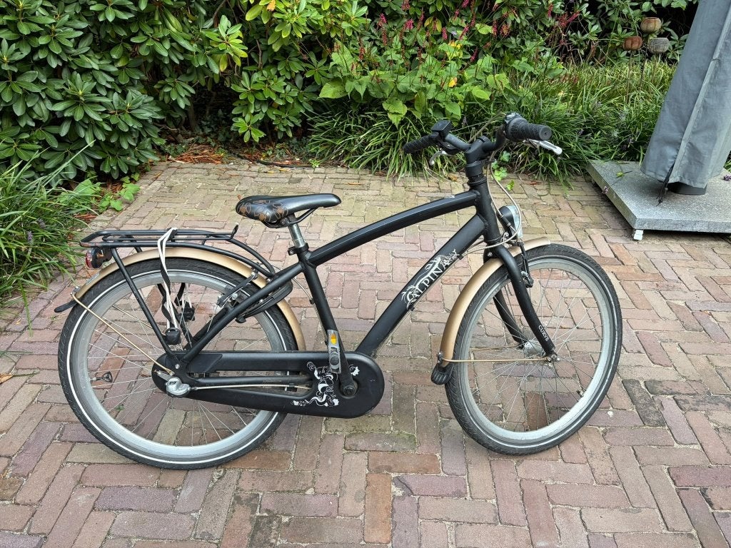 Alpina Curve jongensfiets [24] inch –met 3 versnellingen, Ophalen, Terugtraprem, Alpina, Handrem