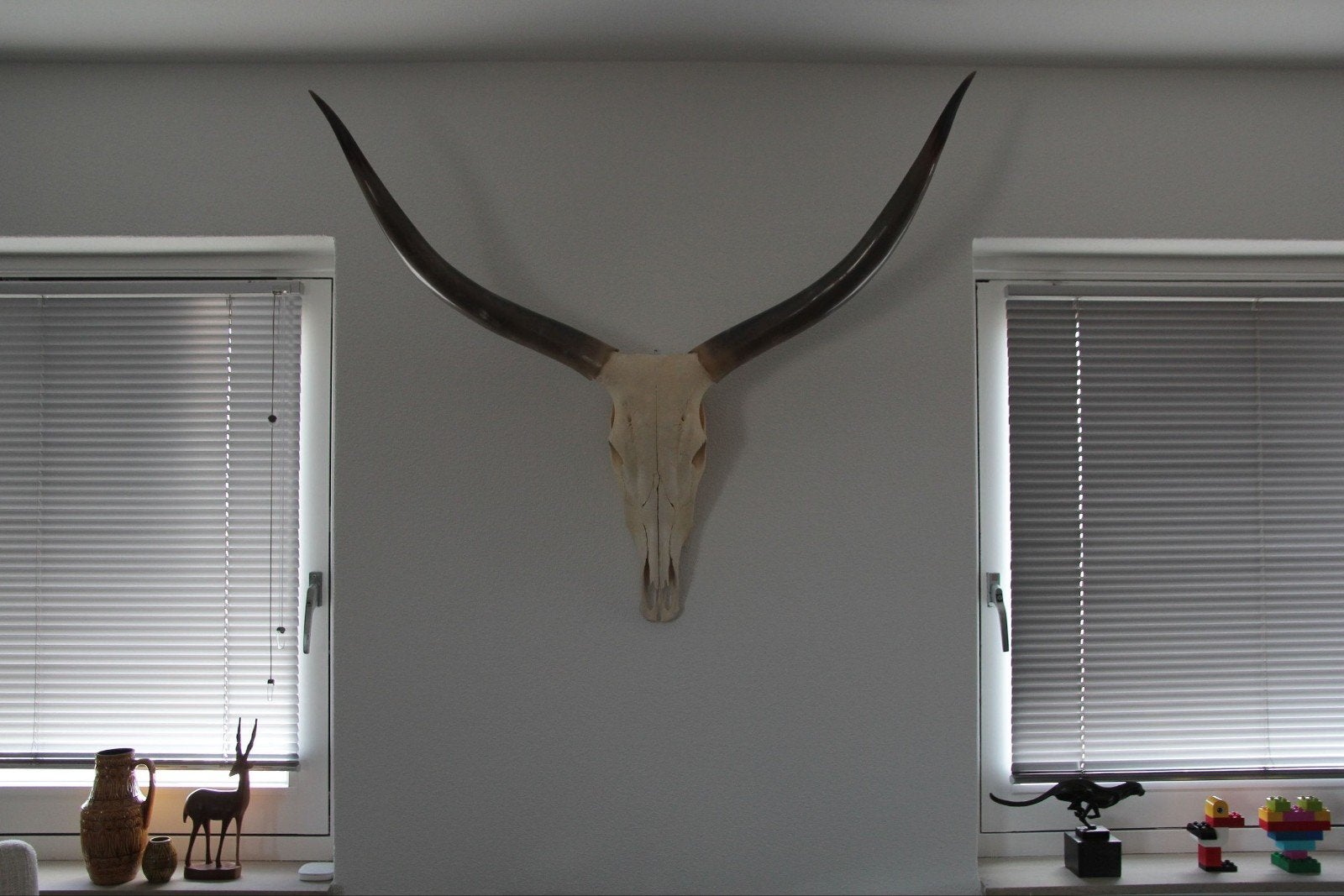  Decoratieve authentieke Texaanse Longhorn-schedel, Wandsculptuur, Gebruikt, 100 cm, Natuurlijk materiaal