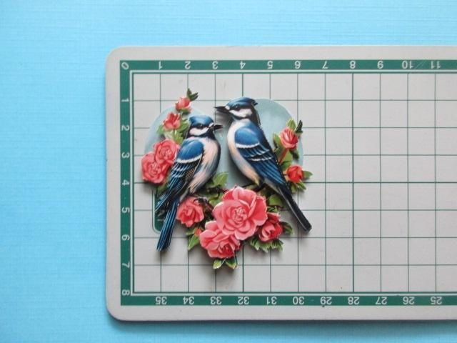 y664 Vogels, Verzenden, Nieuw, Overige thema's, Overige typen