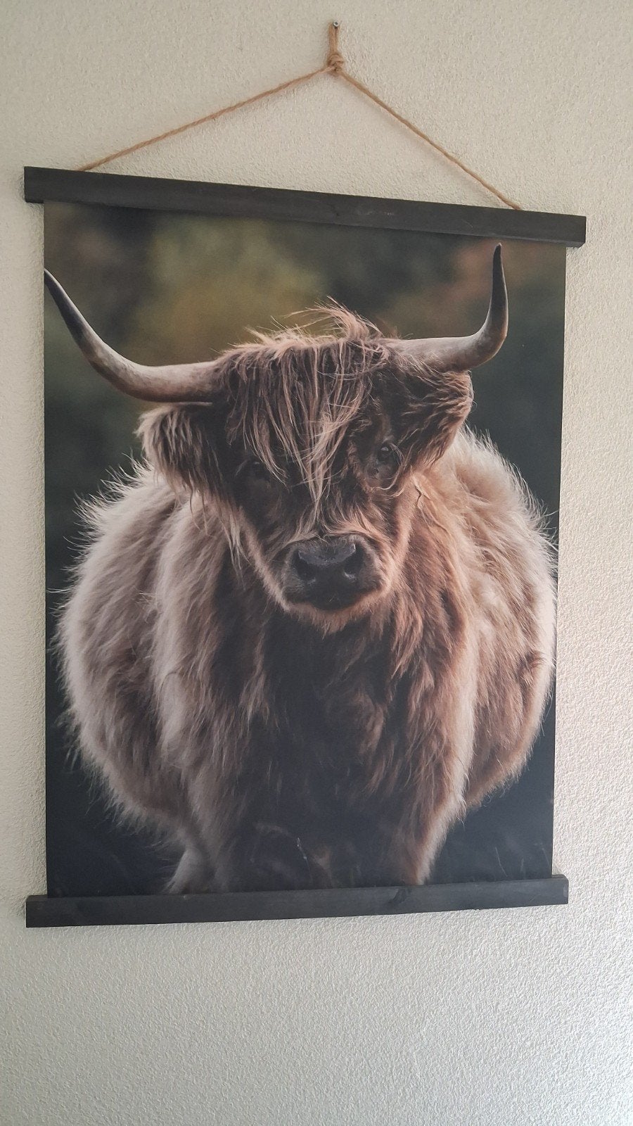 Schotse Hooglander doek, Ophalen, Zo goed als nieuw, Foto of Poster, 75 – 100
