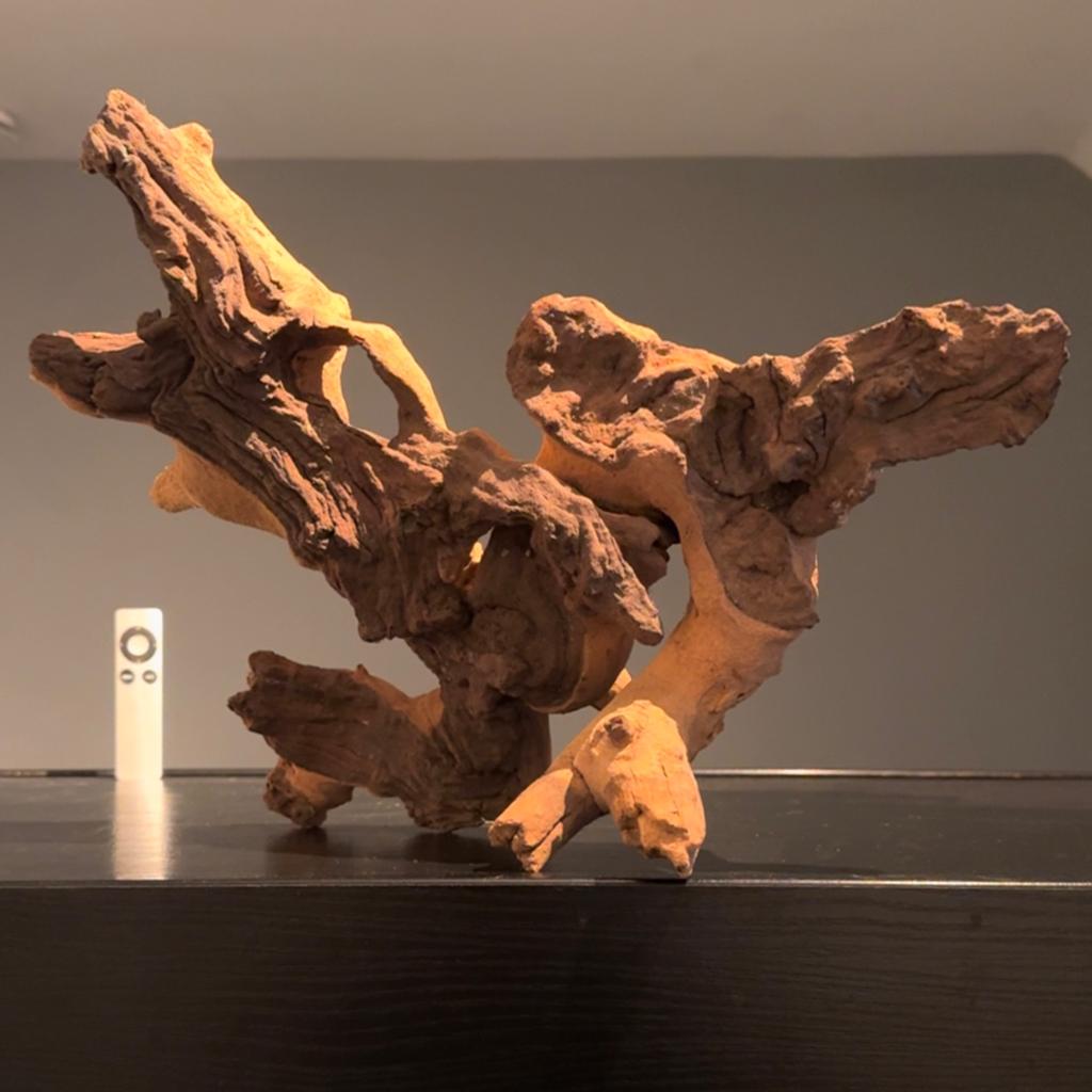 Geweldig stuk Mopani Kienhout / Spiderwood, Hout Decoratie, Ophalen of Verzenden, Zo goed als nieuw, Plant(en), Steen of Hout