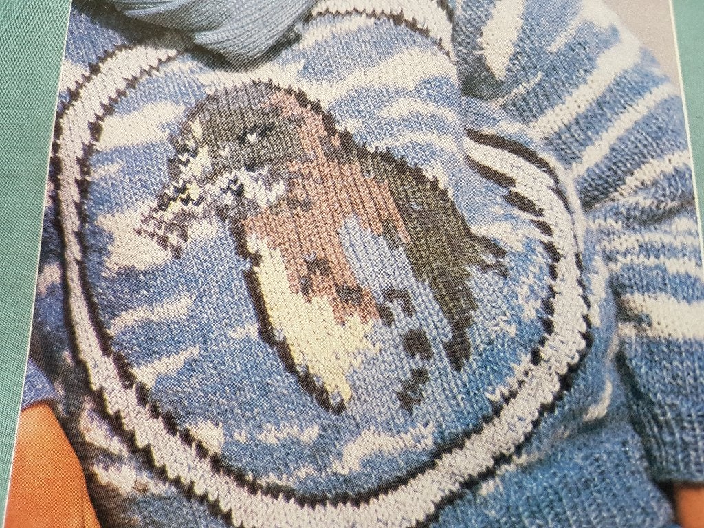 Zeehond trui breipatroon, Ophalen of Verzenden, Zo goed als nieuw, Breien, Patroon of Boek