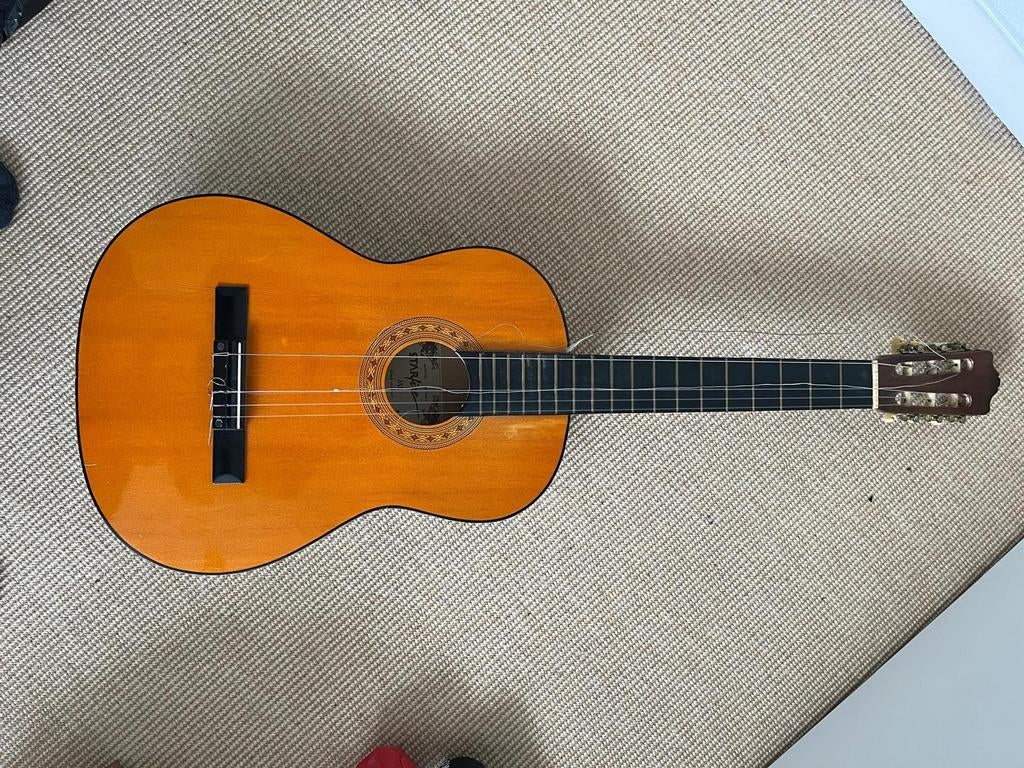 Gitaar met hoes - Zo goed als nieuw (kapotte snaar), Muziek en Instrumenten, Ophalen of Verzenden