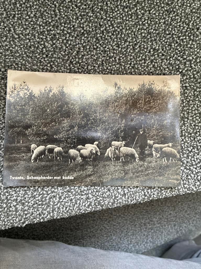 Oude Ansichtkaart Twente Schaapherder met Kudde 1938, Ophalen of Verzenden, 1920 tot 1940, Gelopen, Overijssel