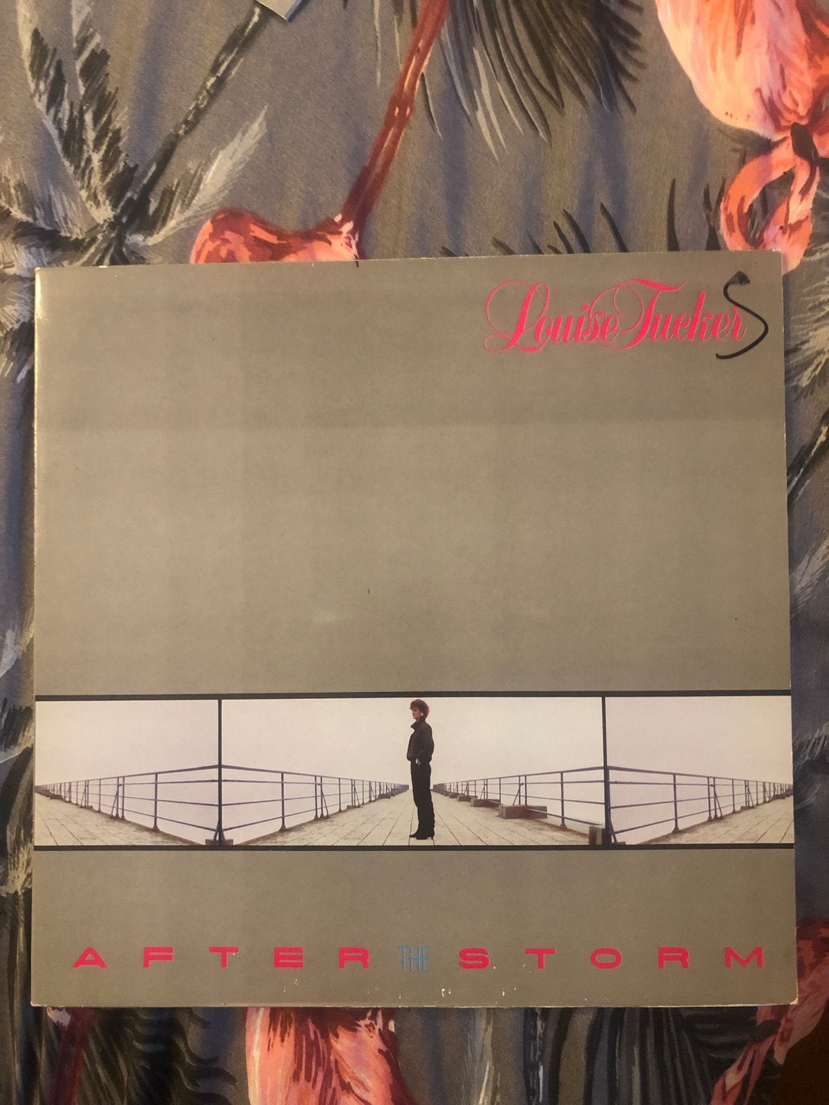 Louise Tucker - After The Storm (Vinyl LP), Ophalen of Verzenden, Gebruikt, 12 inch