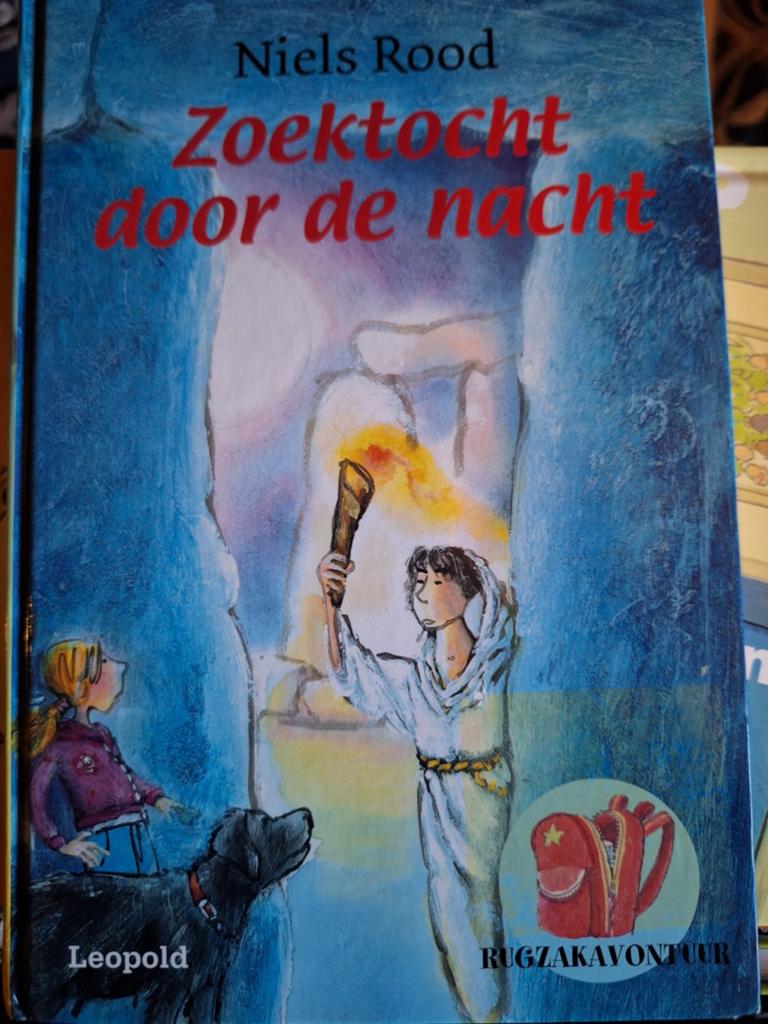 N. Rood - Zoektocht door de nacht, Fictie algemeen, N. Rood, Ophalen of Verzenden, Zo goed als nieuw