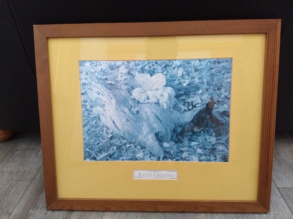 Anne Geddes fotomet lijst 55 x 45, Ophalen, Oorspronkelijke maker, Zo goed als nieuw, Foto of Poster