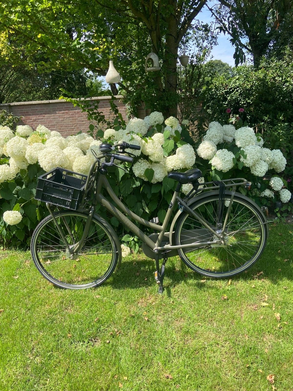 Cortina jeugdfiets/kleine damesfiets 28 inch, 7 versn., Gebruikt, 47 tot 50 cm, Versnellingen, Ophalen
