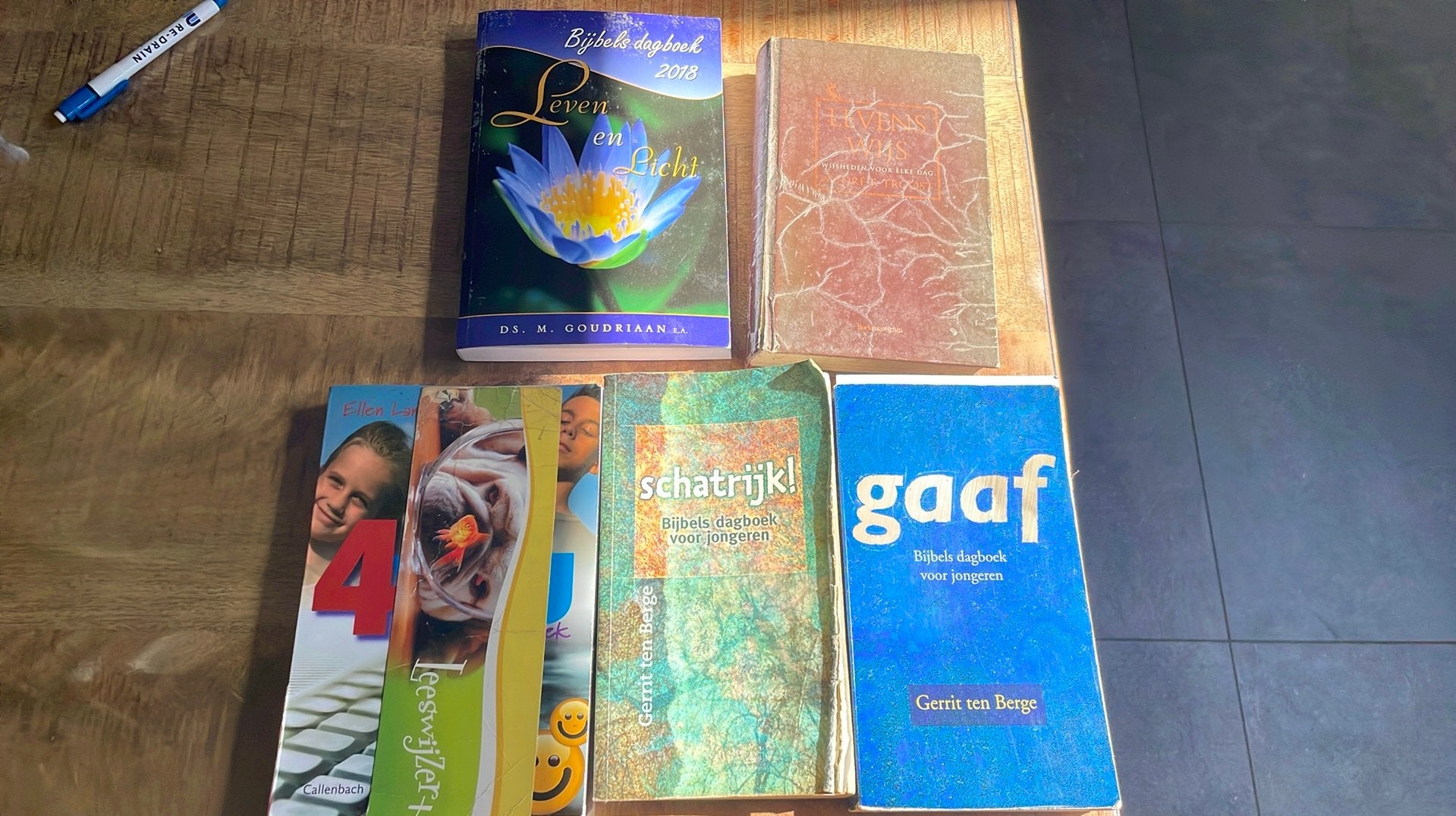 5x Bijbels dagboek (G. ten Berge, ds Troost, ds Goudriaan), Ophalen of Verzenden, Gelezen, Overige