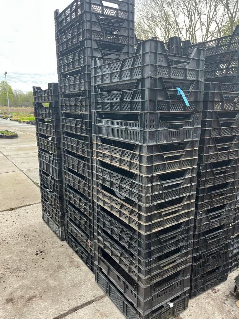 Kwekerij kratten, hoog en laag, Ophalen, Gebruikt, 40 tot 60 cm, 50 tot 75 cm