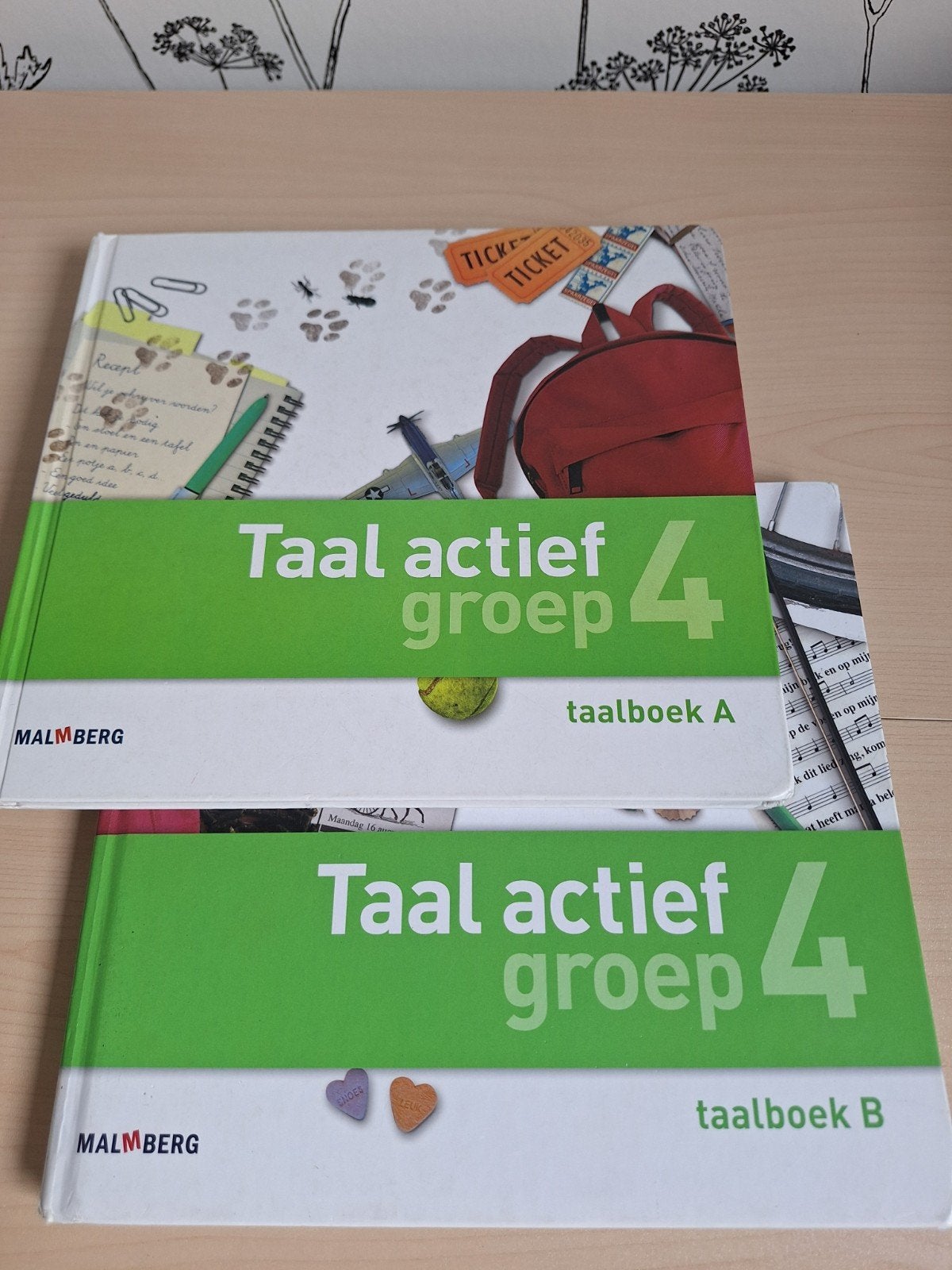 set taalboeken Taal Actief groep 4, Boeken, Ophalen of Verzenden, Gelezen, Overige niveaus, Nederlands