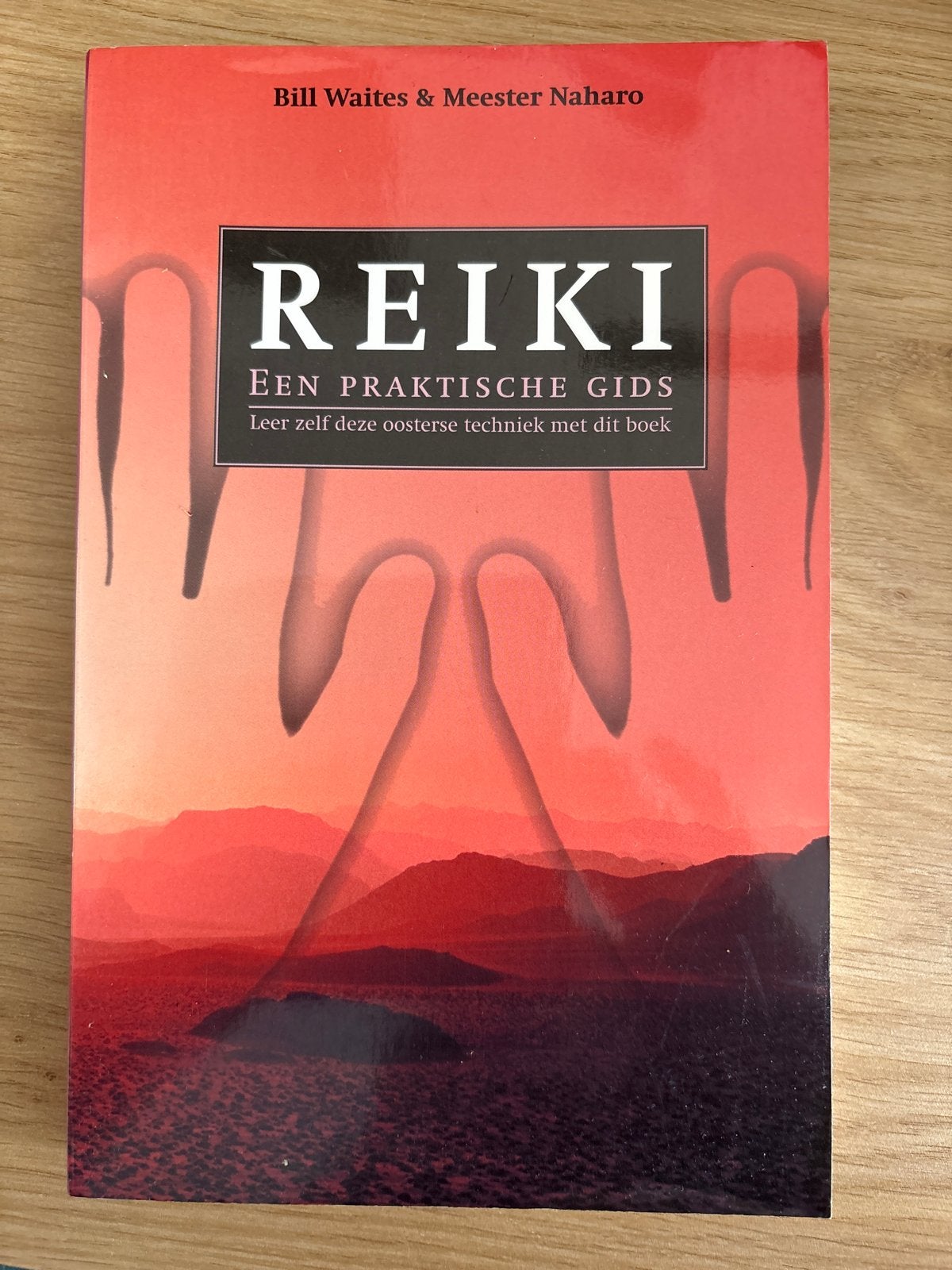 Reiki: Een Praktische Gids - Leer zelf oosterse techniek, Boeken, Ophalen of Verzenden, Gelezen, Spiritualiteit algemeen, Instructieboek