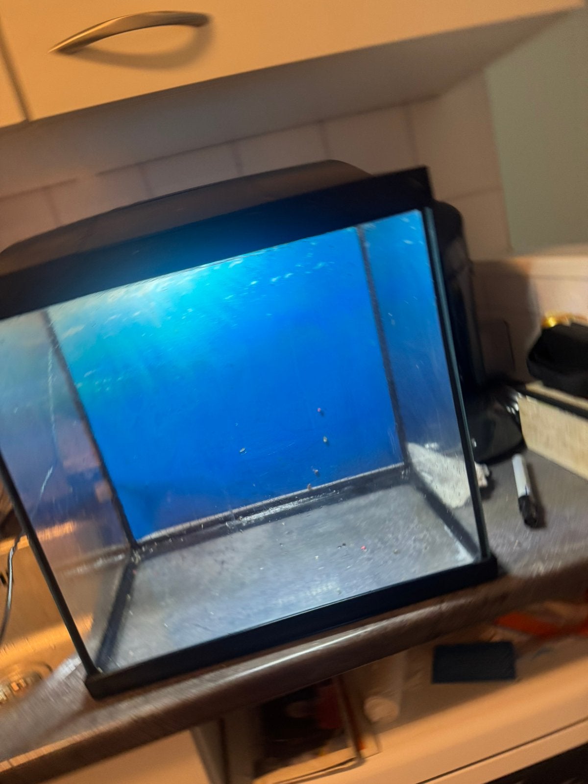 Aquarium, Ophalen, Zo goed als nieuw, Leeg aquarium
