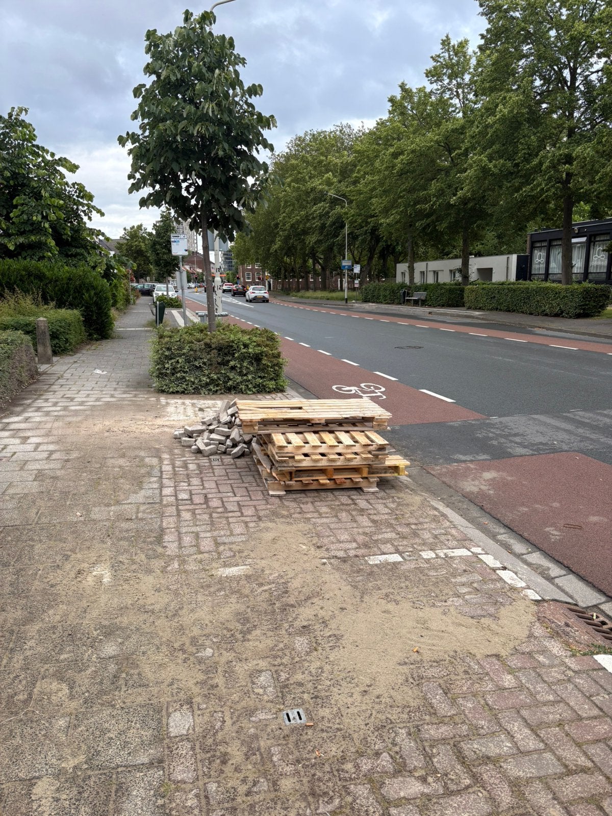 Pallets gratis afhalen Breda Princenhage, Tuin en Terras, Haardhout, Minder dan 3 m³, Ophalen