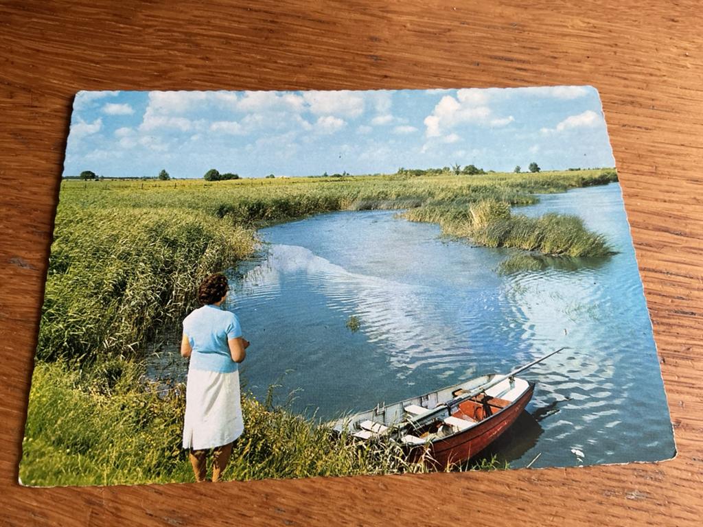 O106 Biesbosch beschadigd, Ophalen of Verzenden