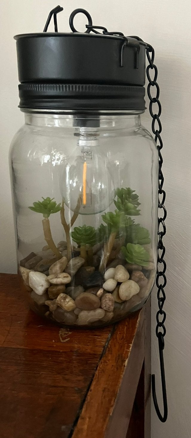 Terrarium hanglamp plant LED vetplantje lamp 12,50, Ophalen of Verzenden, Zo goed als nieuw