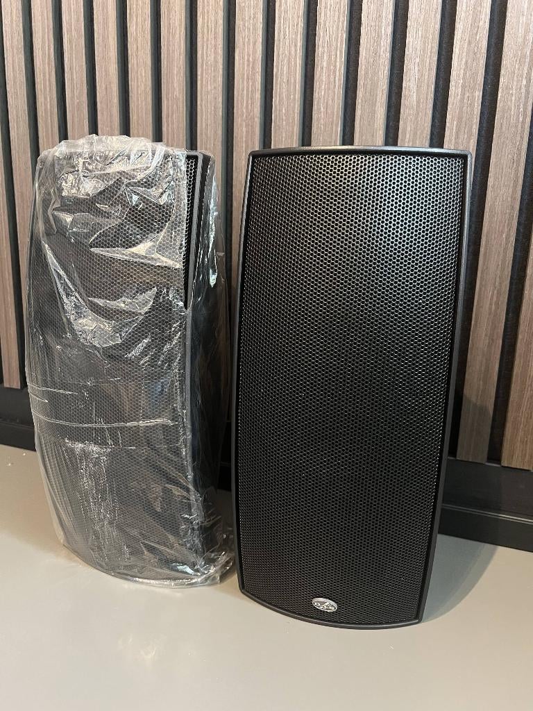 DAS Audio ARCO-24-T, Audio, Tv en Foto, Luidsprekers, Zo goed als nieuw, 60 tot 120 watt, Overige merken, Ophalen of Verzenden