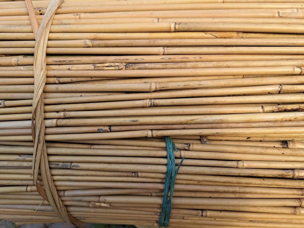 Bundel 25 bamboestokken snijbonenstokken 210 cm, Ophalen, Overige typen, Zo goed als nieuw, Tuincentrum en kwekerij de Triemen