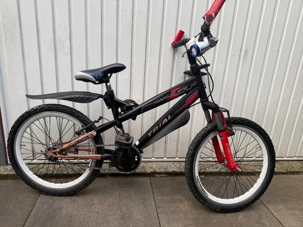 Alpina GT Trial BMX, Ophalen, Terugtraprem, Gebruikt, Staal