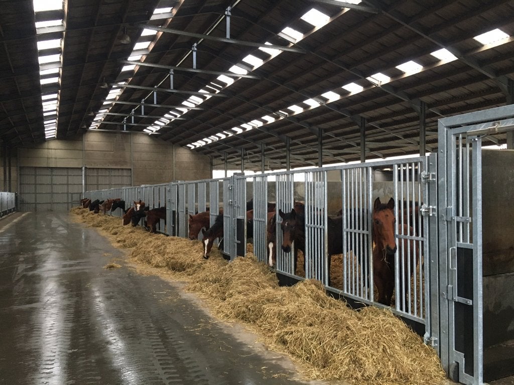 Voerwanden, opfokwand, Paardenboxen, paardenstallen,, Dieren en Toebehoren, Stalling, 4 paarden of pony's of meer