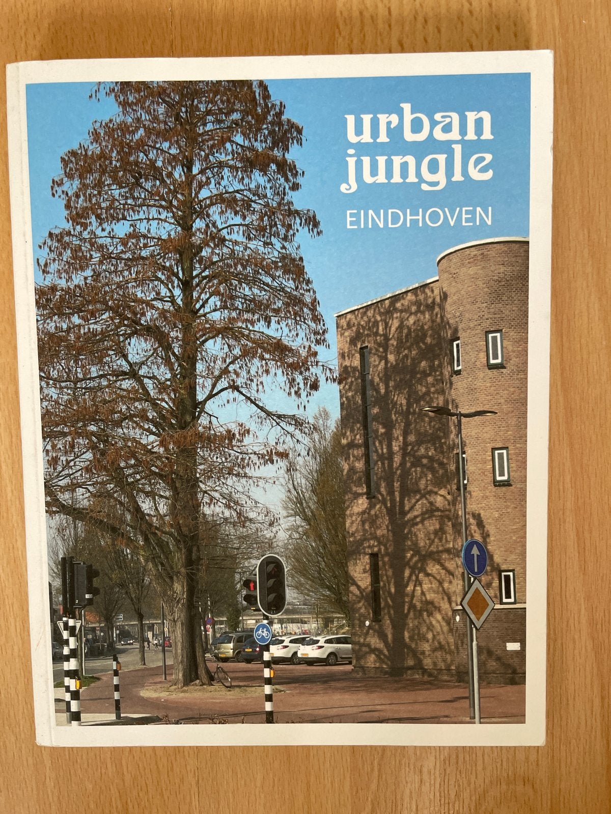 Zilveresdoorn: Groenewoudseweg & Bosranklaan, Ophalen of Verzenden, Gelezen, Bloemen, Planten en Bomen