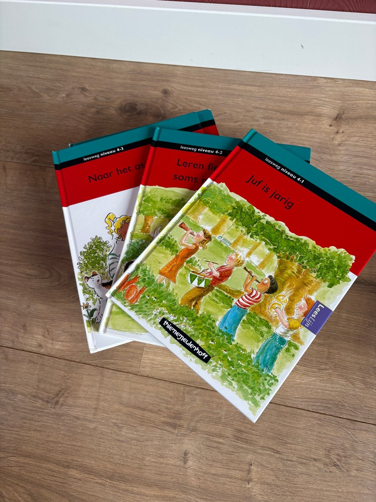 Leesweg leesboeken niveau 4-1, 4-2, 4-3 Thiememeulenhoff, Boeken, Ophalen of Verzenden, Zo goed als nieuw, Overige niveaus, Nederlands