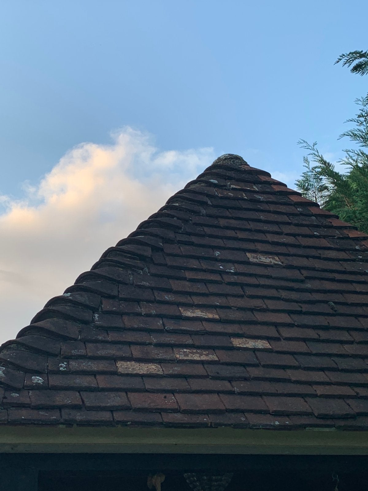 Gebakken lei dakpannen, Ophalen, Steen of Klei, Zo goed als nieuw, 15 m² of meer
