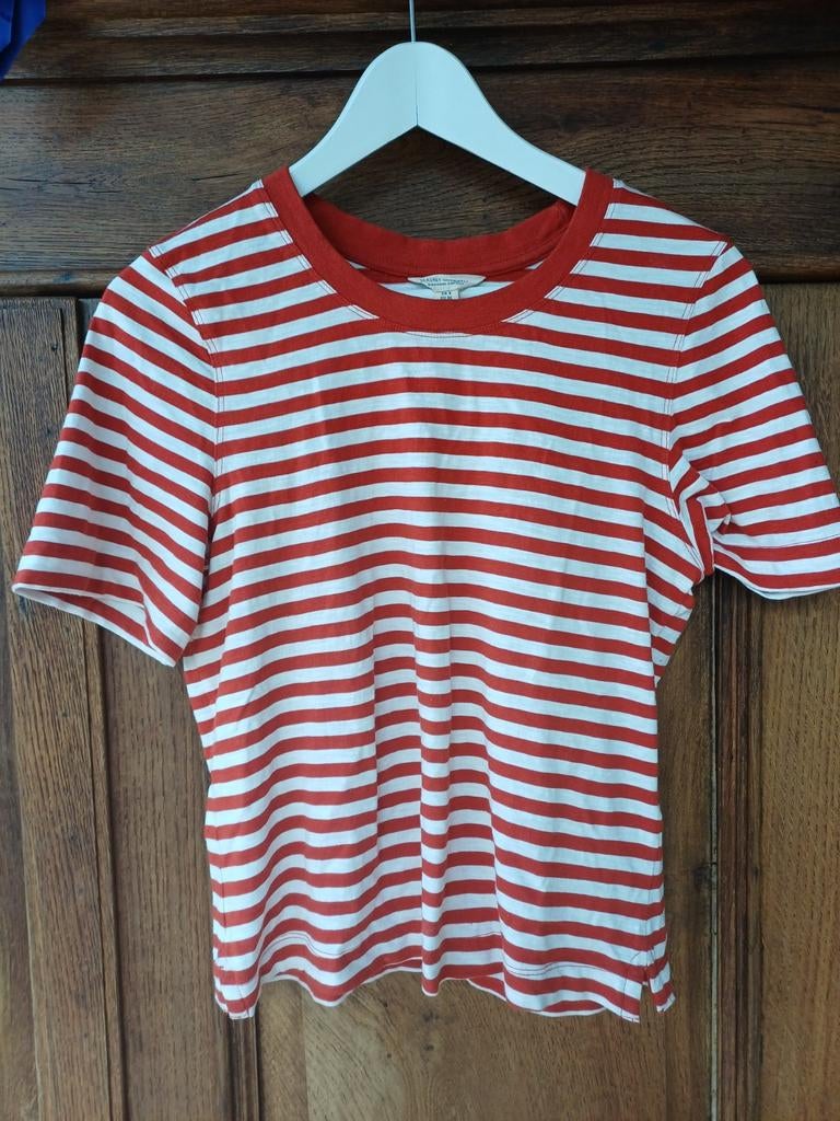Shirt van Seasalt Cornwall, Ophalen of Verzenden, Korte mouw, Seasalt Cornwall, Maat 36 (S)