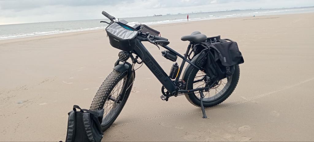 engwe e26.incl tassen.spiegel., Fietsen en Brommers, Elektrische fietsen, Ophalen of Verzenden, Zo goed als nieuw, Overige merken