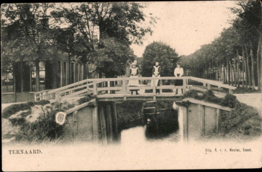 ternaard, kvr9-4502, Verzenden, Voor 1920, Ongelopen, Friesland