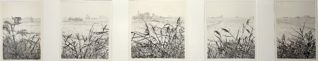 839. Etsen, Reinder Homan – polderlandschappen, 1988–1992, Antiek en Kunst, Ophalen of Verzenden, Landschap, Ets, 1950 - 1999