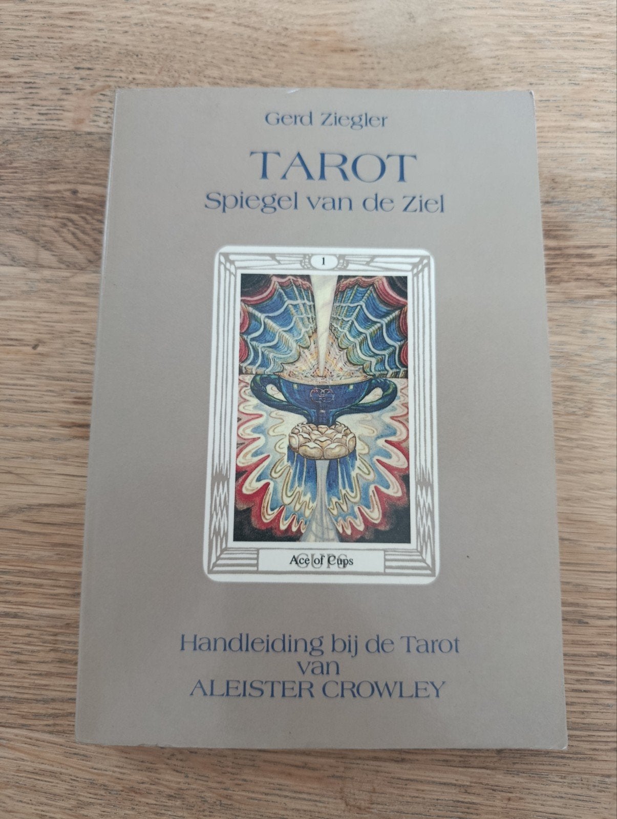 Gerd Ziegler, Tarot Spiegel van de Ziel, handleiding, Ophalen of Verzenden, Gelezen, Tarot of Kaarten leggen, Overige typen