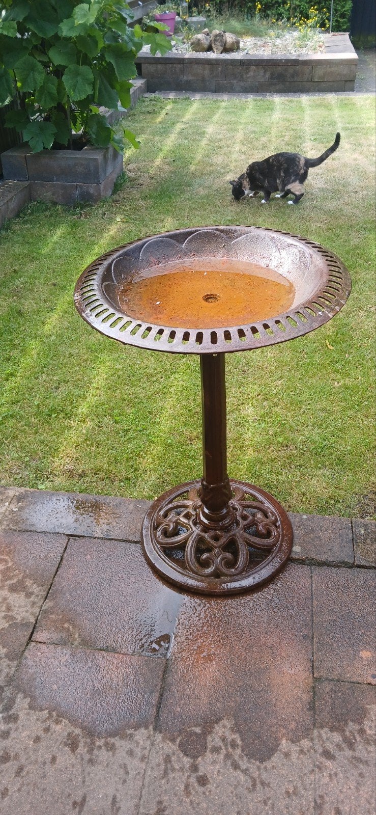 Decoratieve vogelbad / drinkschaal voor tuin, Ophalen, Gebruikt