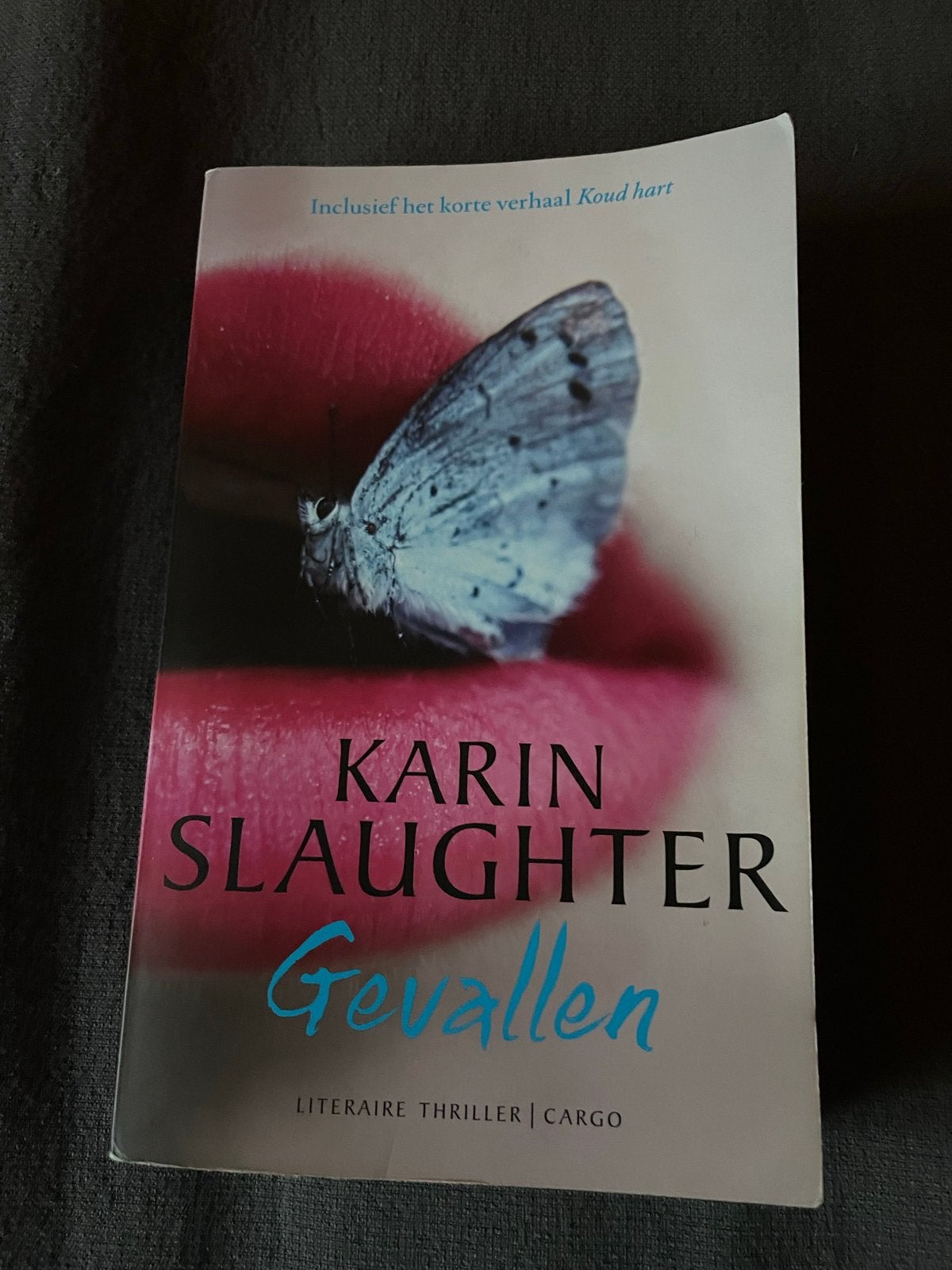 GEVALLEN - Karin Slaughter (Literaire thriller), Boeken, Ophalen of Verzenden, Gelezen, Nederland