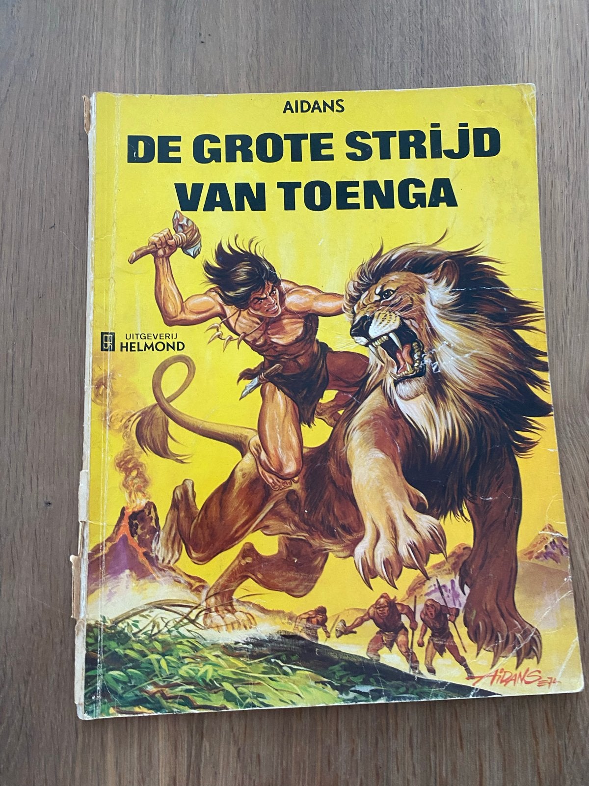 De Grote Strijd van Toenga - Edouard Aidans (1975), Boeken, Eén stripboek, Ophalen of Verzenden, Gelezen