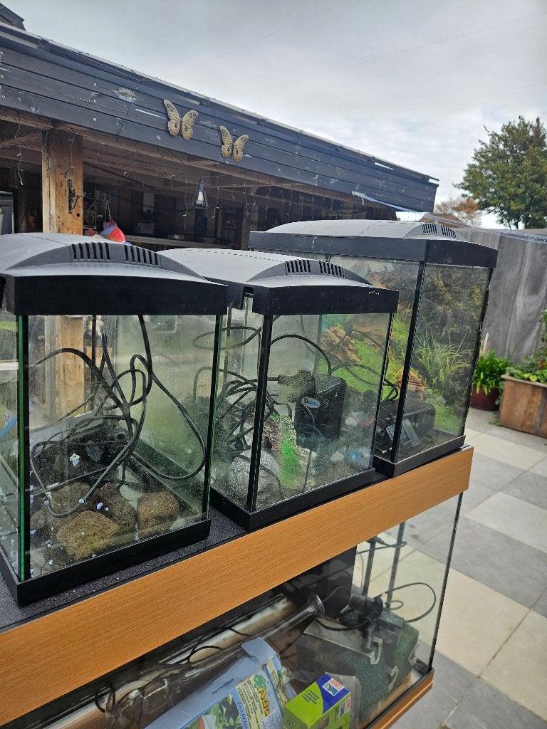 Aquarium 3x, Ophalen, Zo goed als nieuw, Leeg aquarium, Superfish