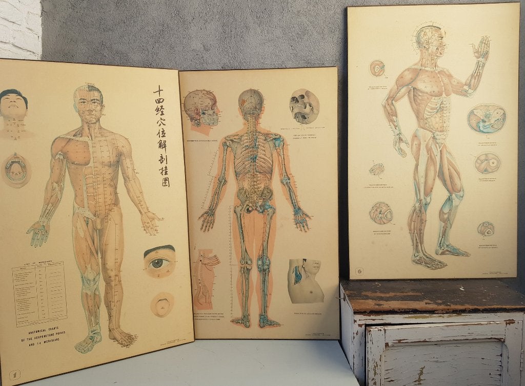 3 Oude Instructiewandkaarten Acupunctuur, Ophalen, Geschiedenis